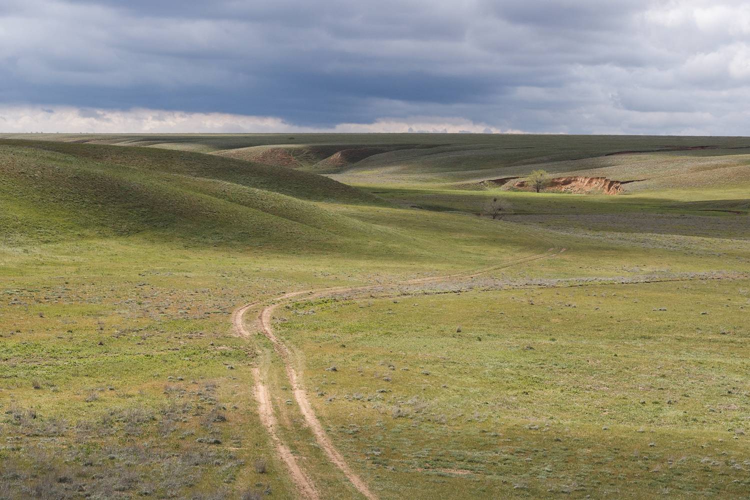 калмыкия, холмы, весна, троицкий каньон, Rimma Gerasimenko