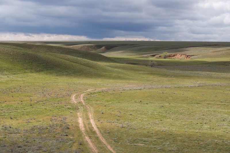 калмыкия, холмы, весна, троицкий каньон Холмы Калмыкии фото превью