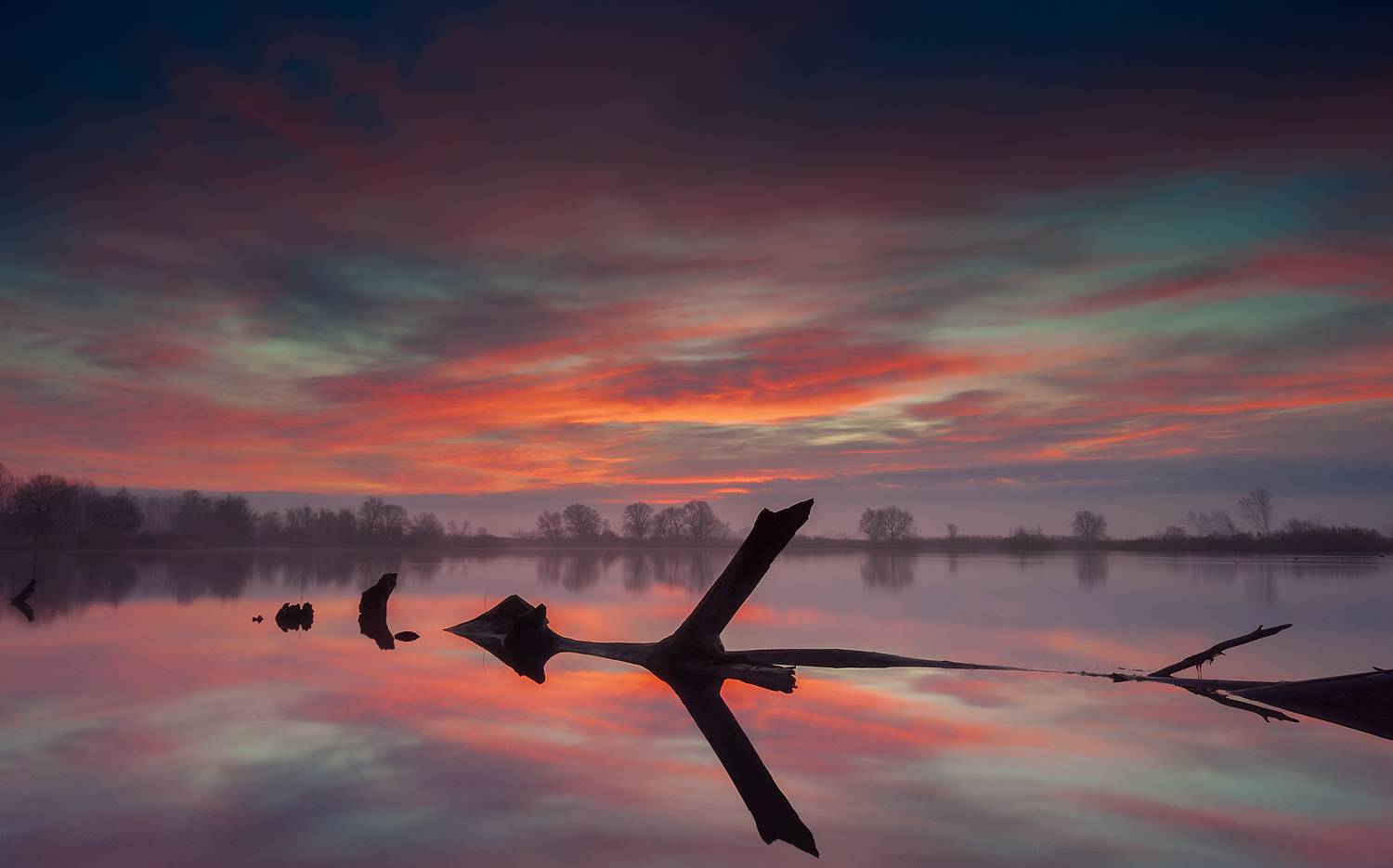 , Peynerdjiev Philip