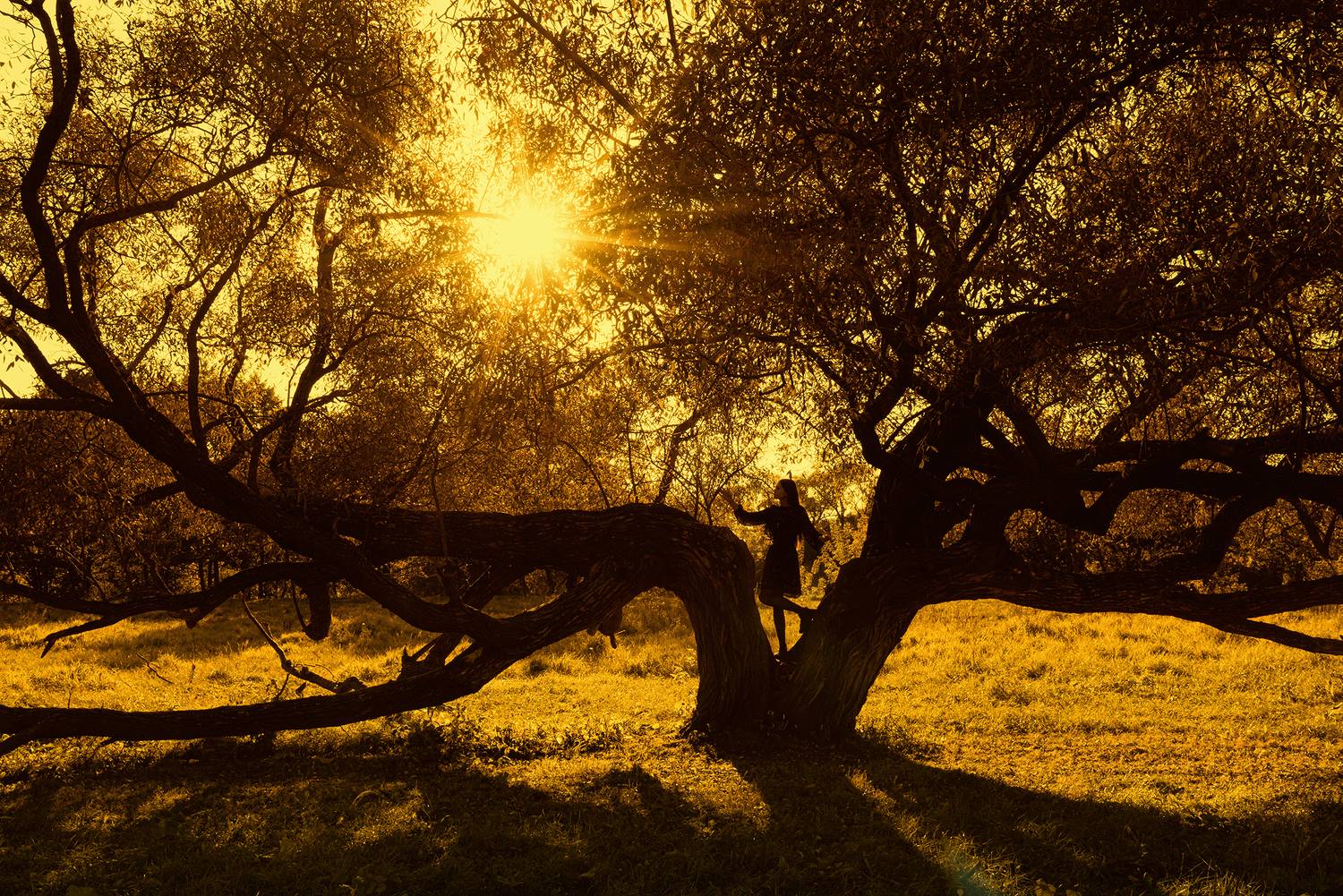 , Юрий Солотин