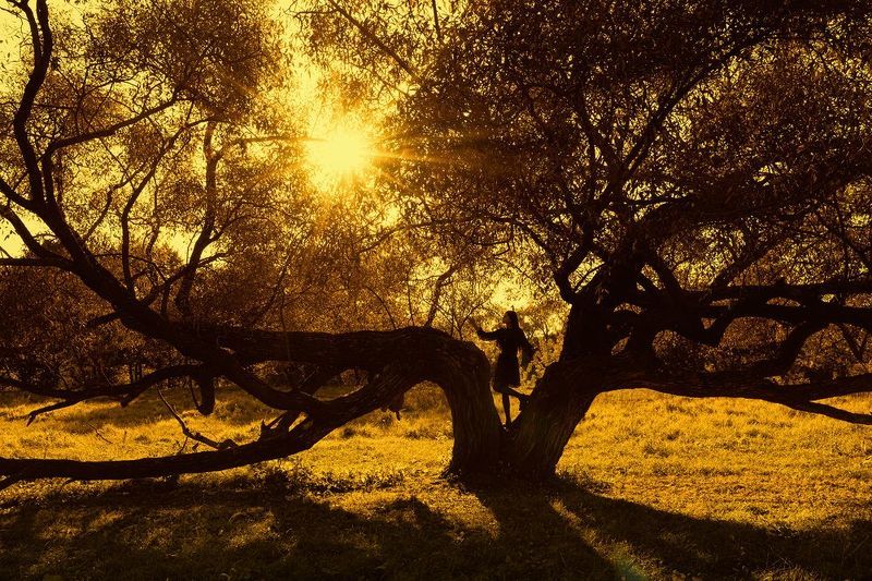 tre фото превью