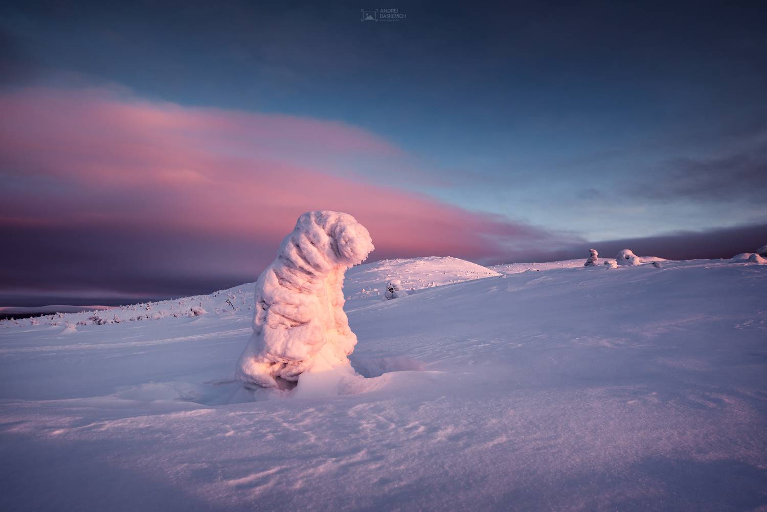 , Андрей Баскевич