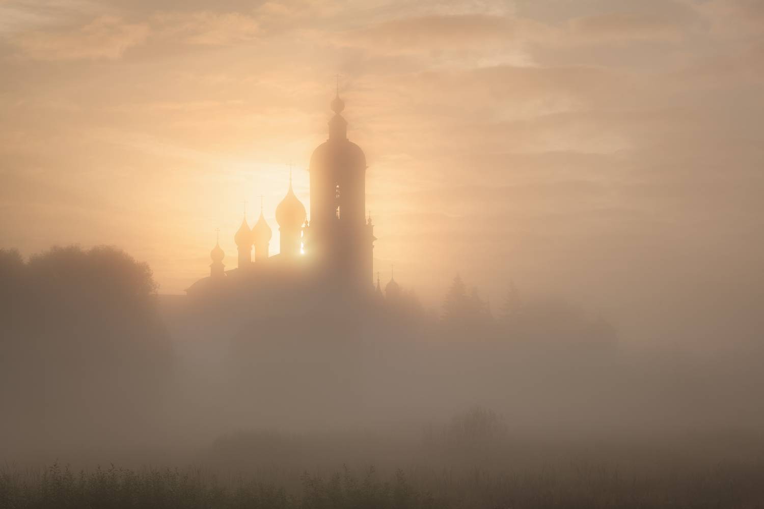 , Максим Евдокимов