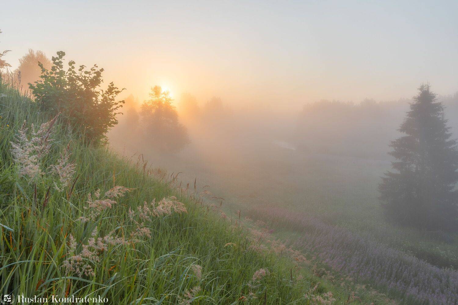 река, рассвет, лемовжа, закат, Кондратенко Руслан