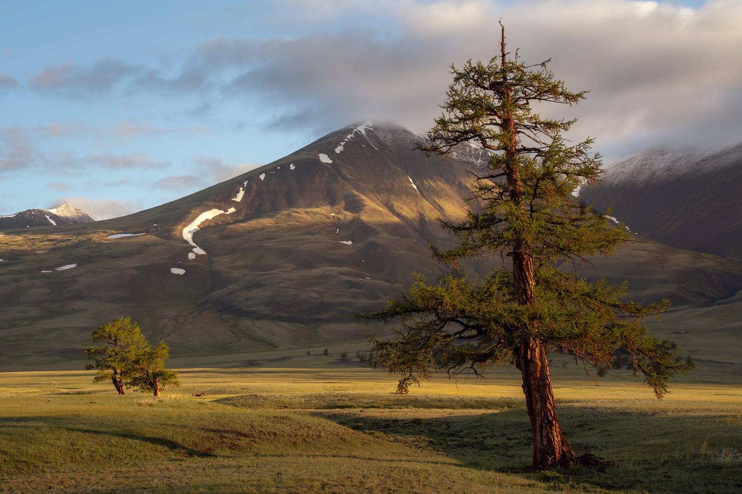 тува, тыва, сибирь, монгун-тайга, пейзаж, красиво, горы, Александр Нерозя