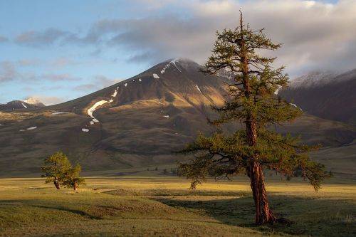 Уютное утро