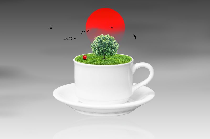 A Cup of Fantasy фото превью