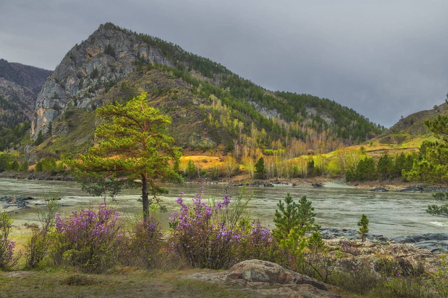 Фототуры с Владимиром Рябковым, #topnature #russpasibo #magic_shots #lovelyRussia #sunset_vision #exclusive_sky  #exclusive_shots #loves_russia2 #photoarena_nature #nature_sultans #nature_perfection #rsa_sky #rsa_sunset #photorussia #rsa_naturepics #sunse, Владимир Рябков