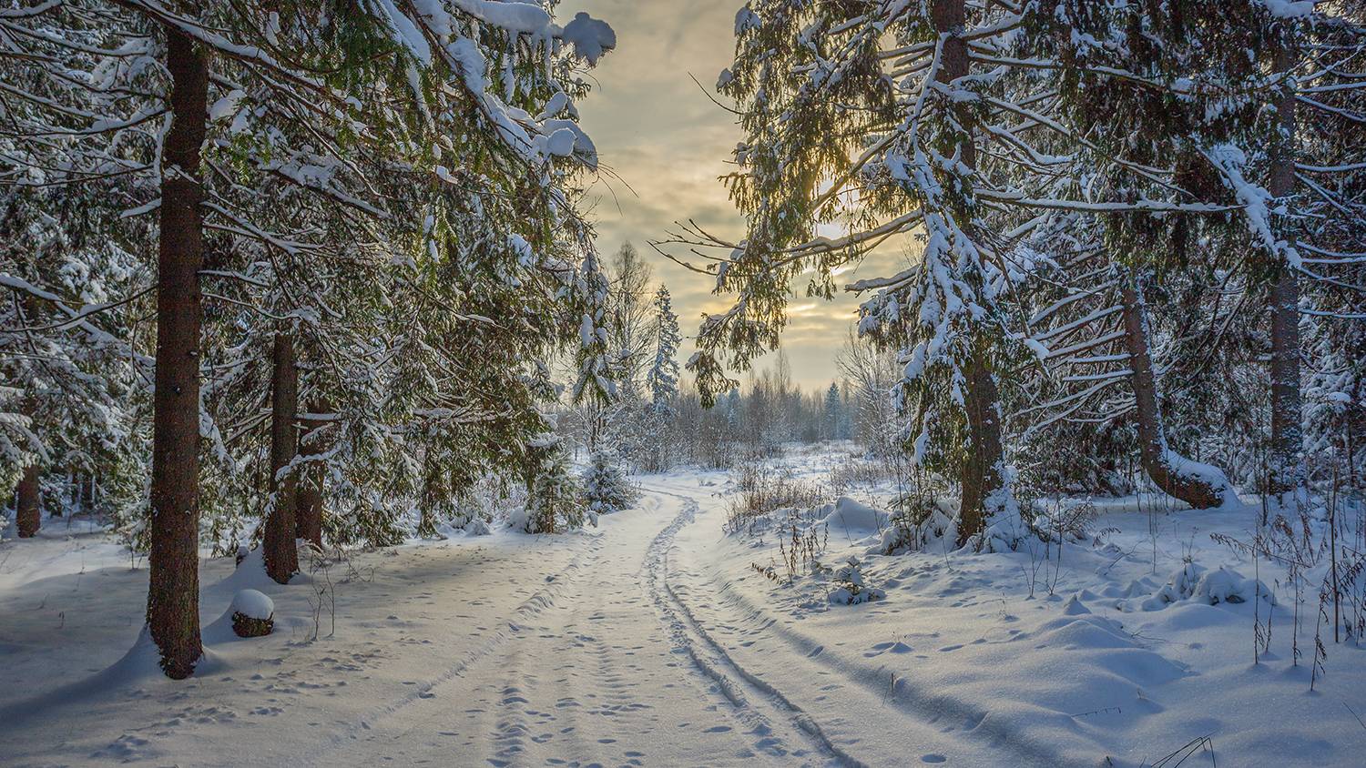 , Андреев Николай