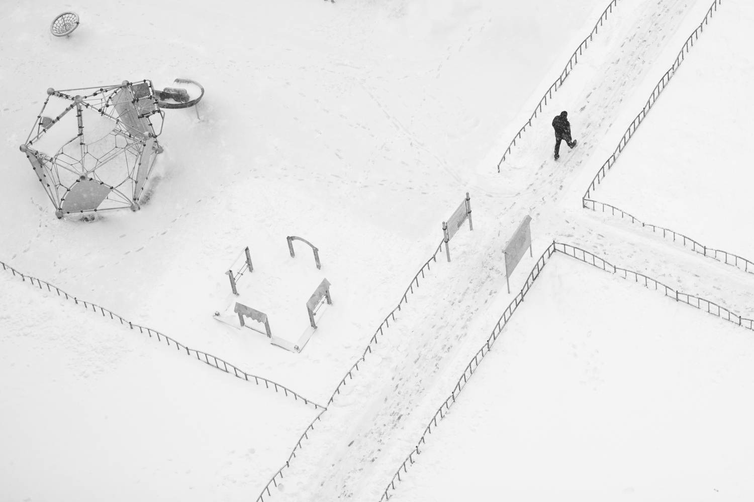 , Алексей Федотов