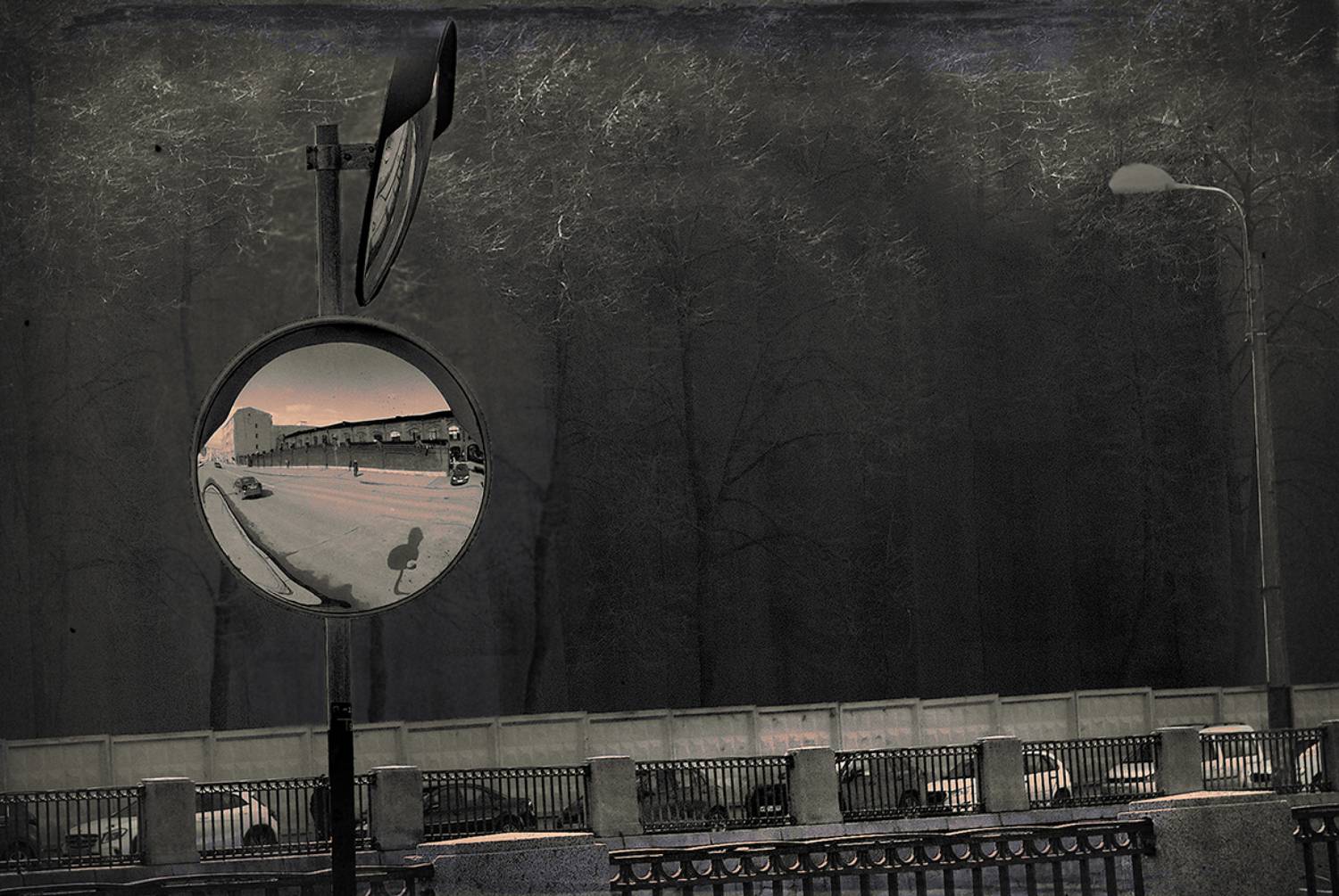 , T. Bondarenko