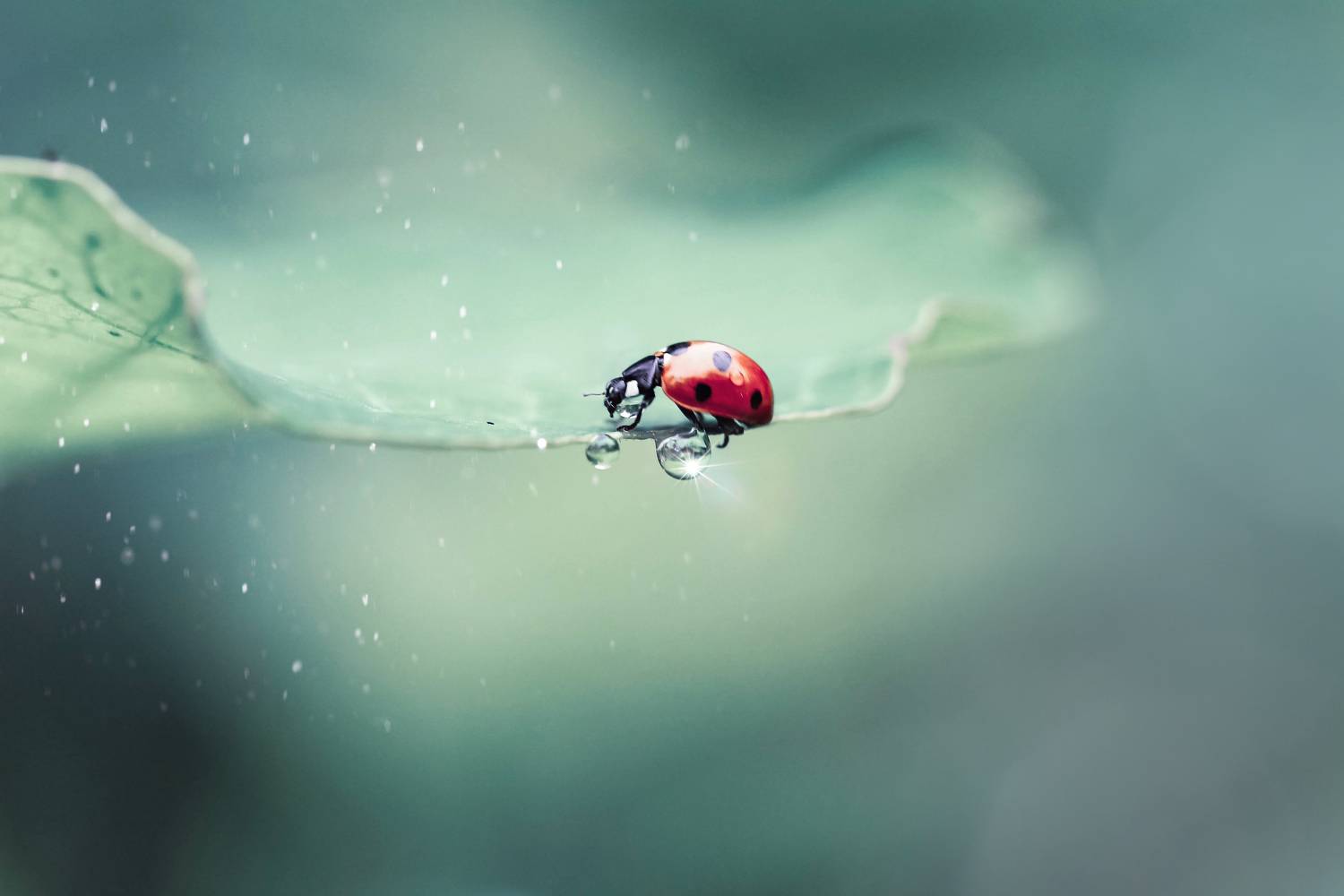 , Александра Юсупова