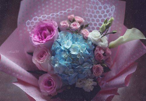 Палитра нежных красок