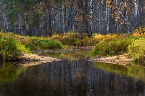 Берег правый,берег левый...