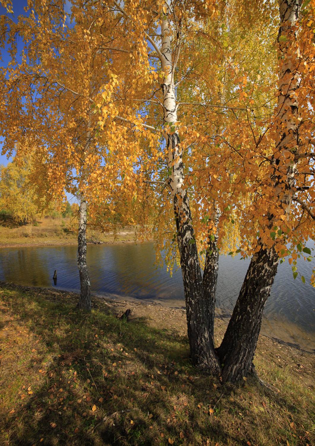 , Алексей Хахлов
