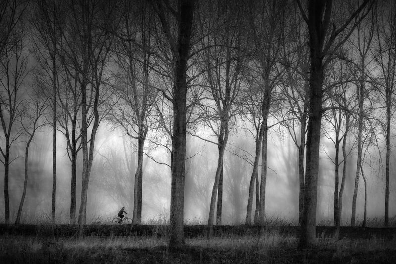 The Lonely Cyclist фото превью