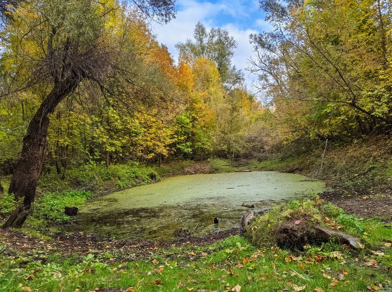 *** фото превью