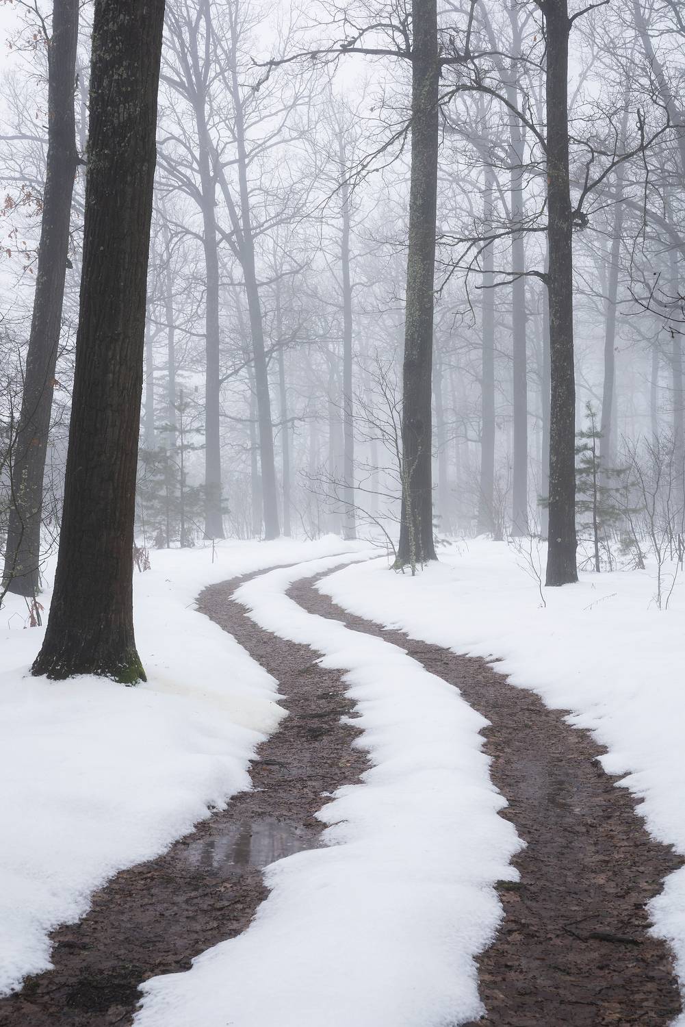 , Захаров Дмитрий