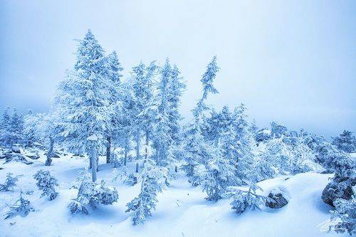 На горе Качканар