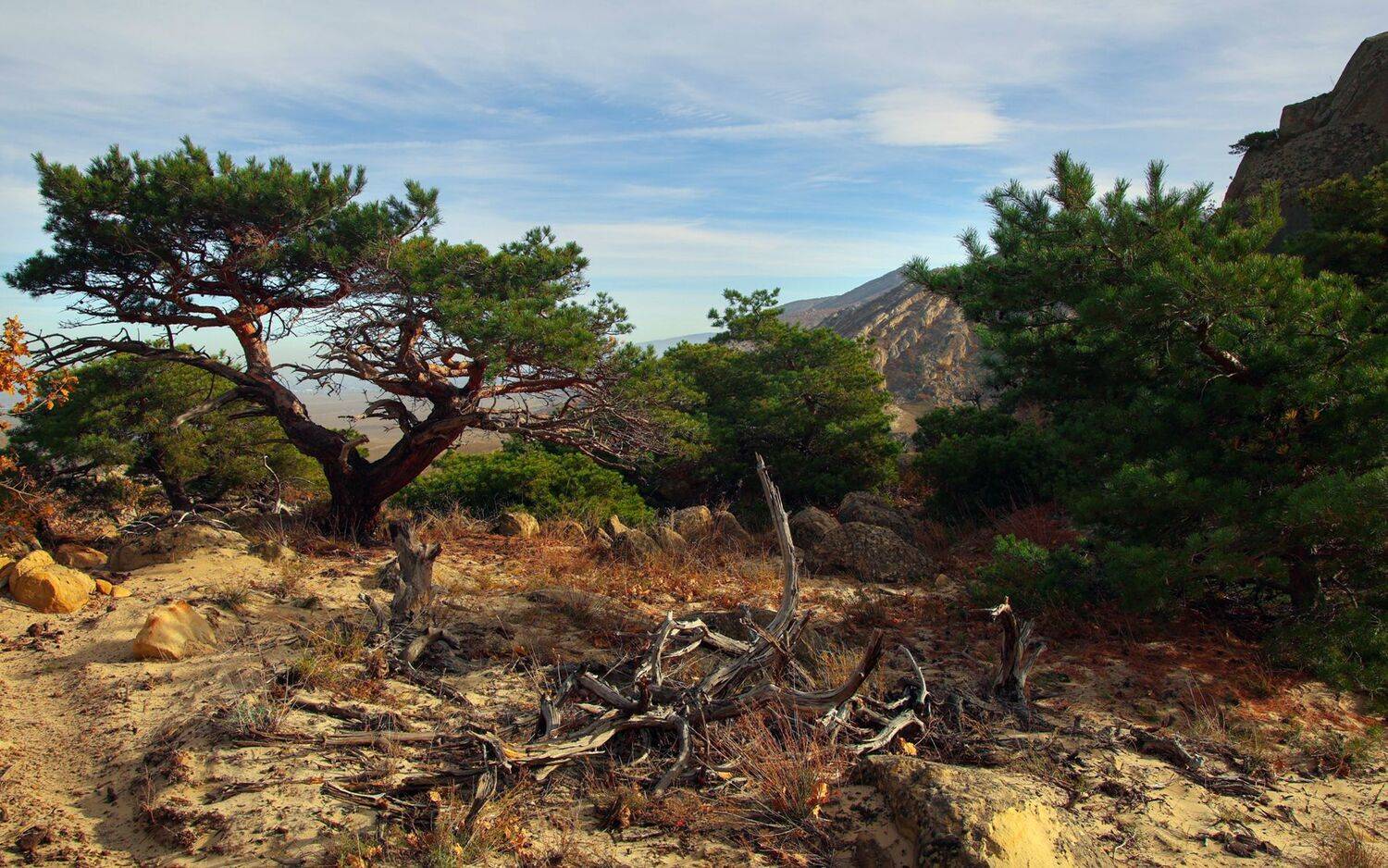 горы,пейзаж,осень,горы,дагестан,, Magov Marat