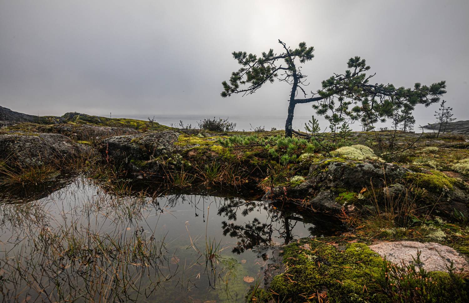 Карелия, Ладога, шхеры, туман, осень, Сергей
