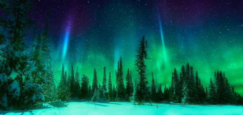 winter forest sky sunset nature landscape ~~~ фото превью