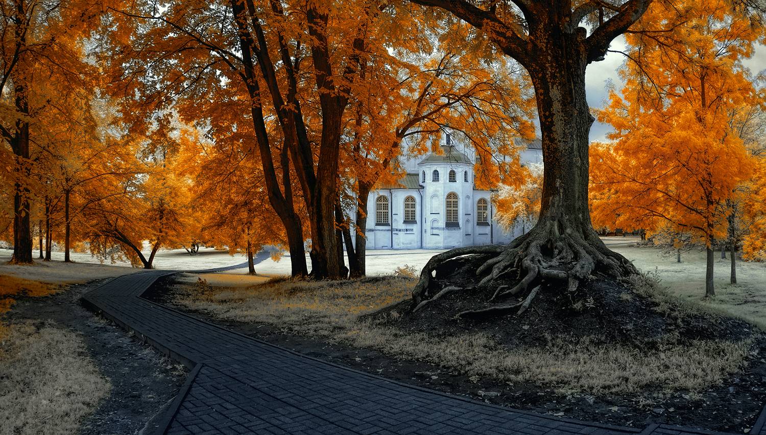 infrared,ик-фото,инфракрасное фото, инфракрасная фотография, пейзаж, лето,  Sixten (Сергей)