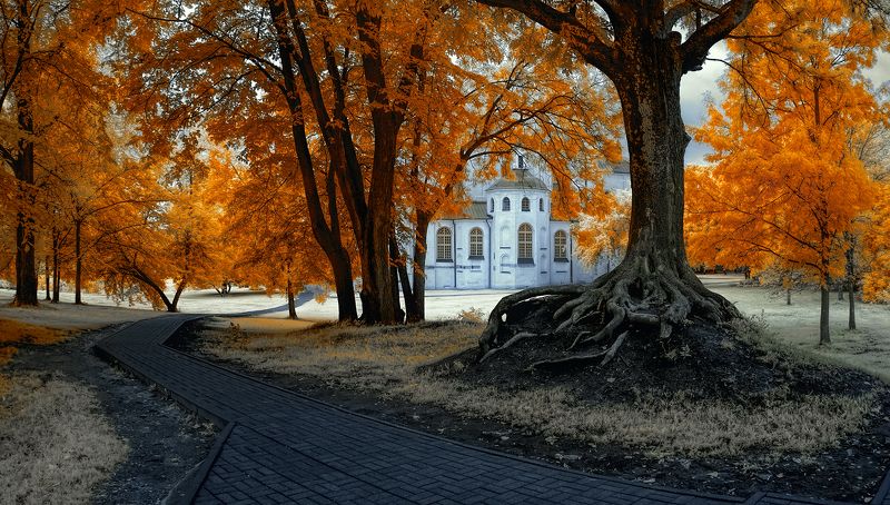 Было время фото превью