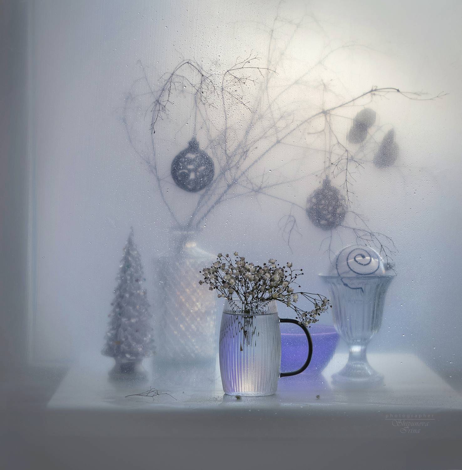 , Ирина Шипунова