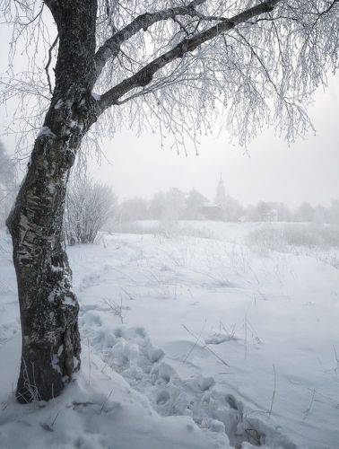 Зимнее утро⁠⁠