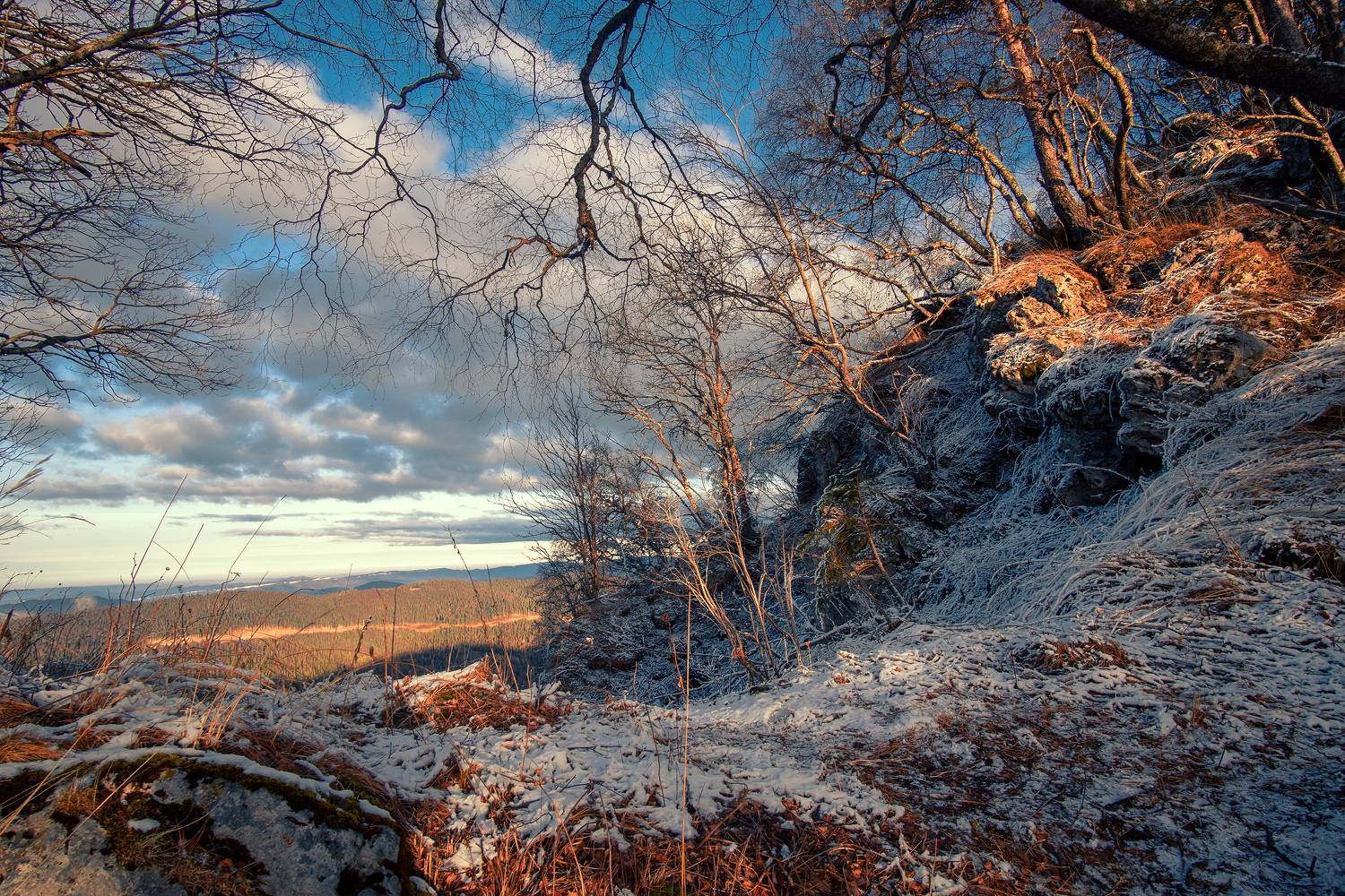 , Вадим Коваленко