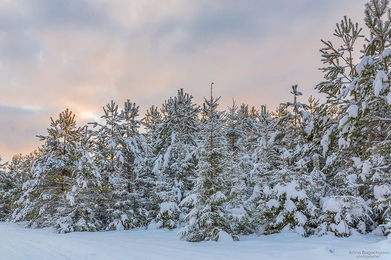 Там, где Морозко из сказки фото превью