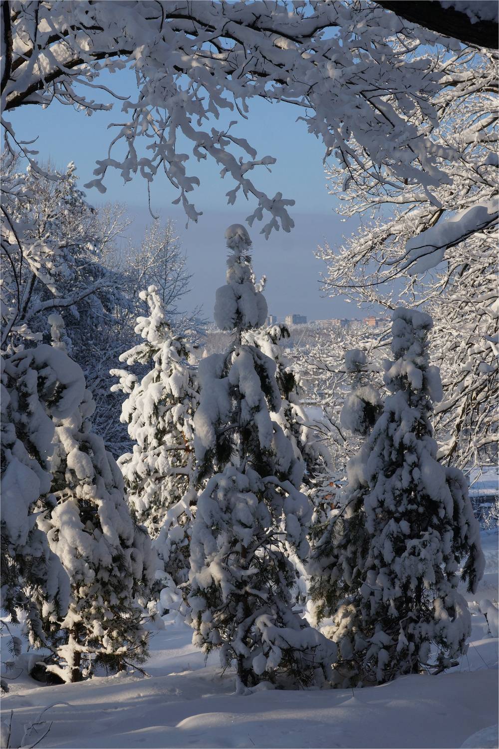 , Владимир Краснов