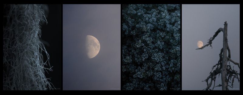 На обратной стороне фото превью