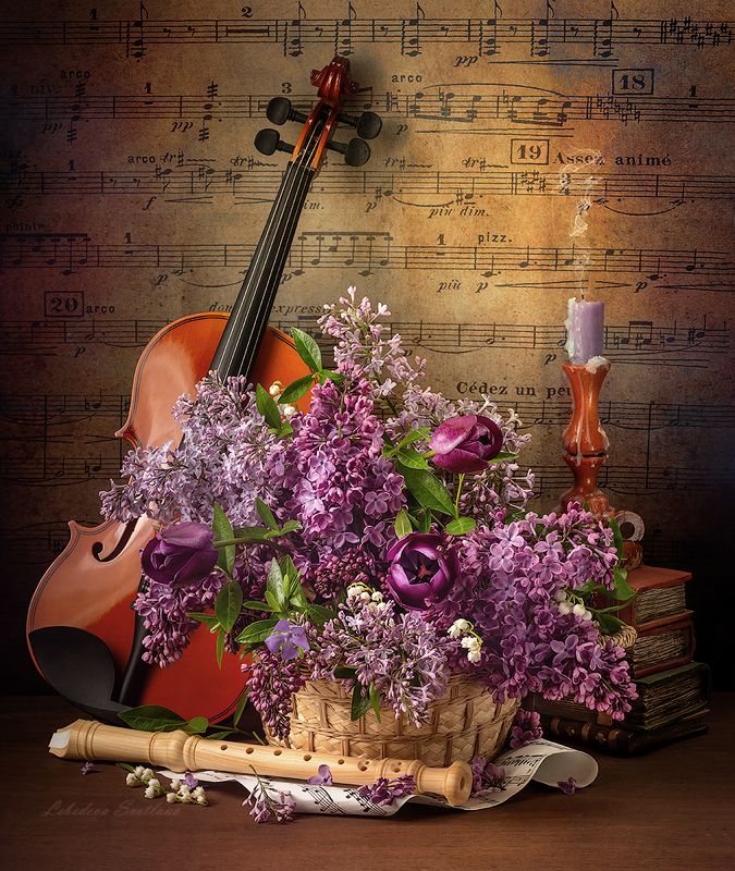 букет,цветы,натюрморт,скрипка Со скрипкой и сиренью фото превью
