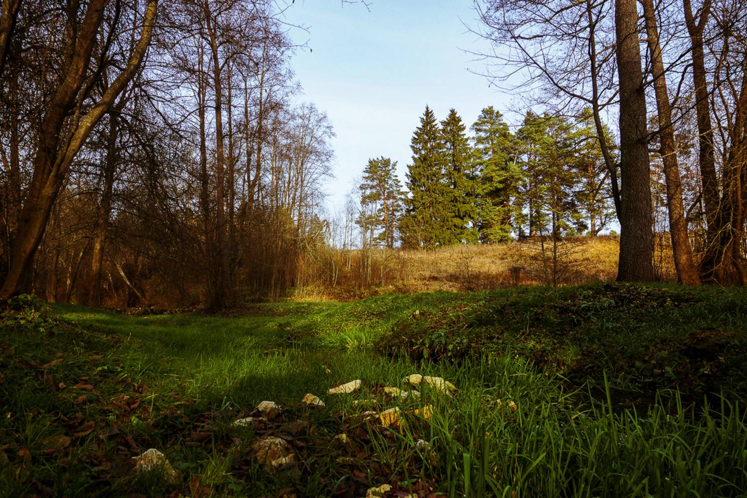 пейзаж, Виктор Парщиков