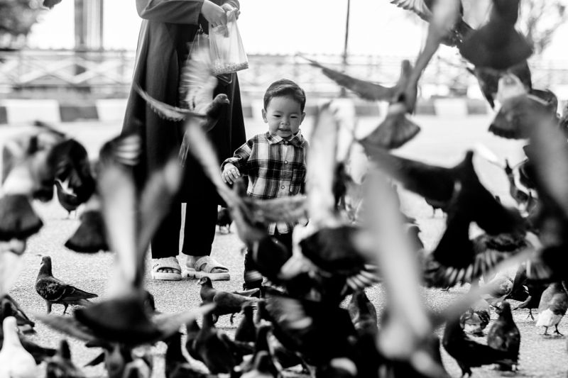 фото превью