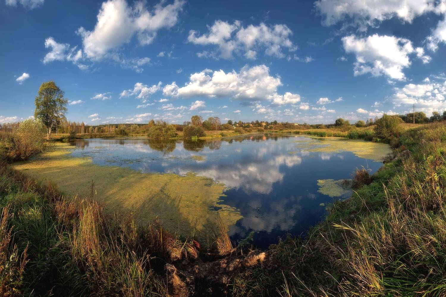 , Алексей Никонов