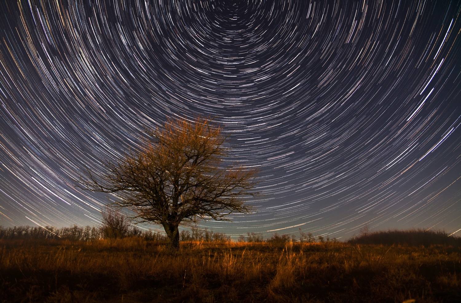 , Викулов Николай