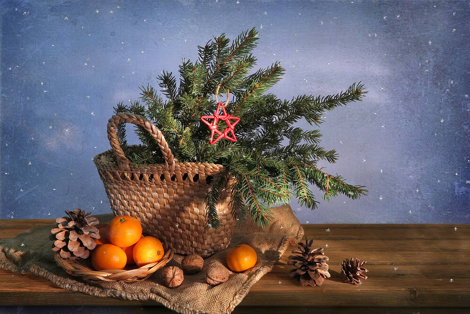 натюрморт,елка,мешковина,мандарины,красная звезда,шишки,орехи, Алла Шевченко