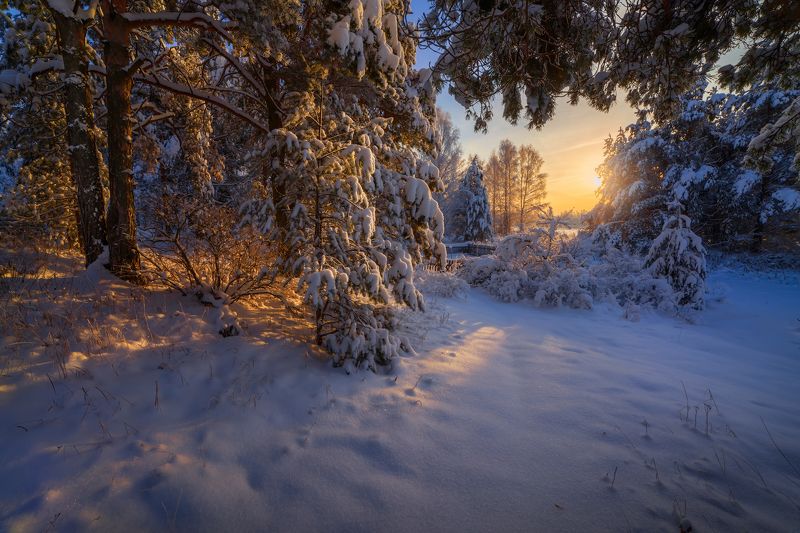 Про мороз и солнце, день чудесный! фото превью