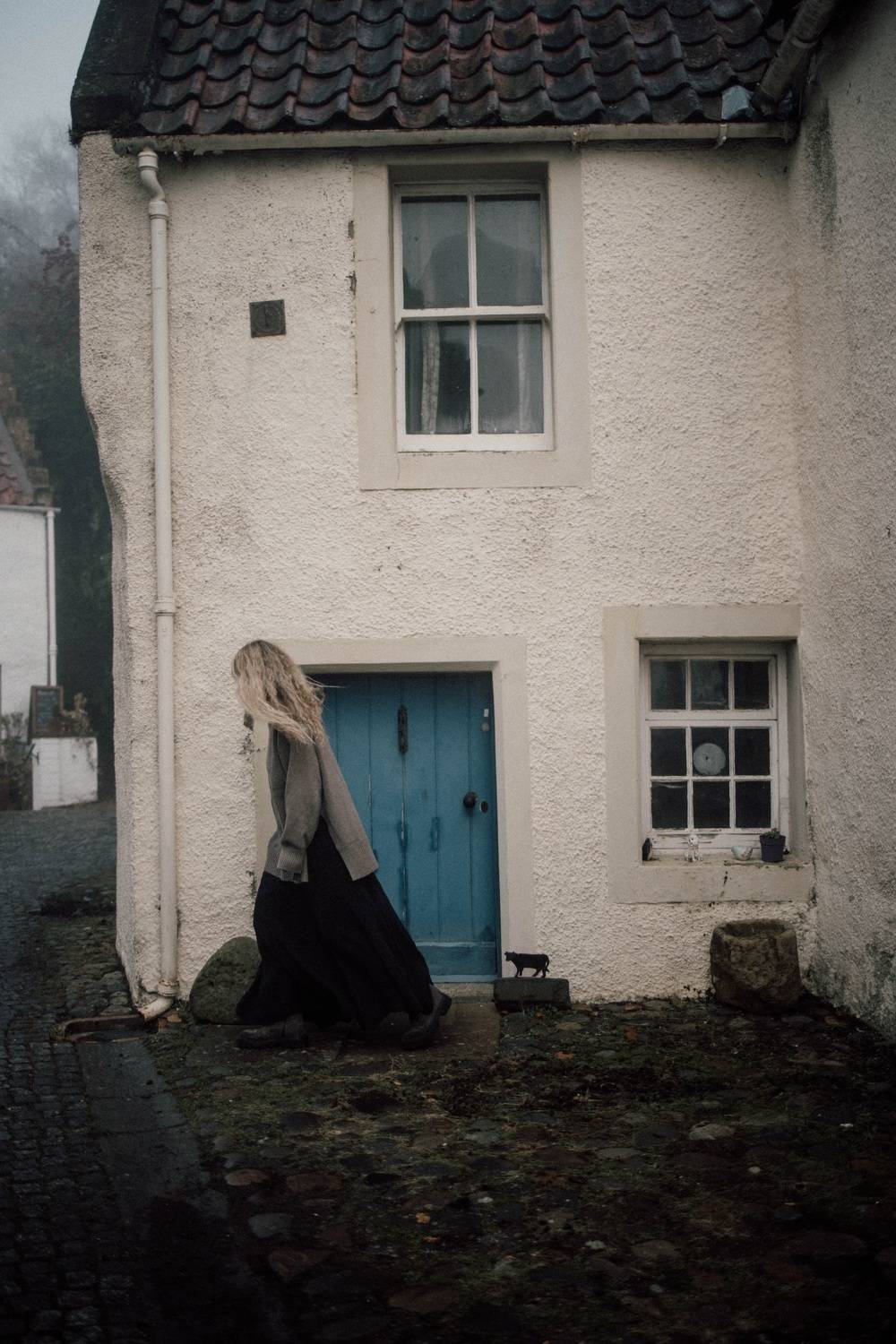 Туман, Алина Шаровская-Константинова