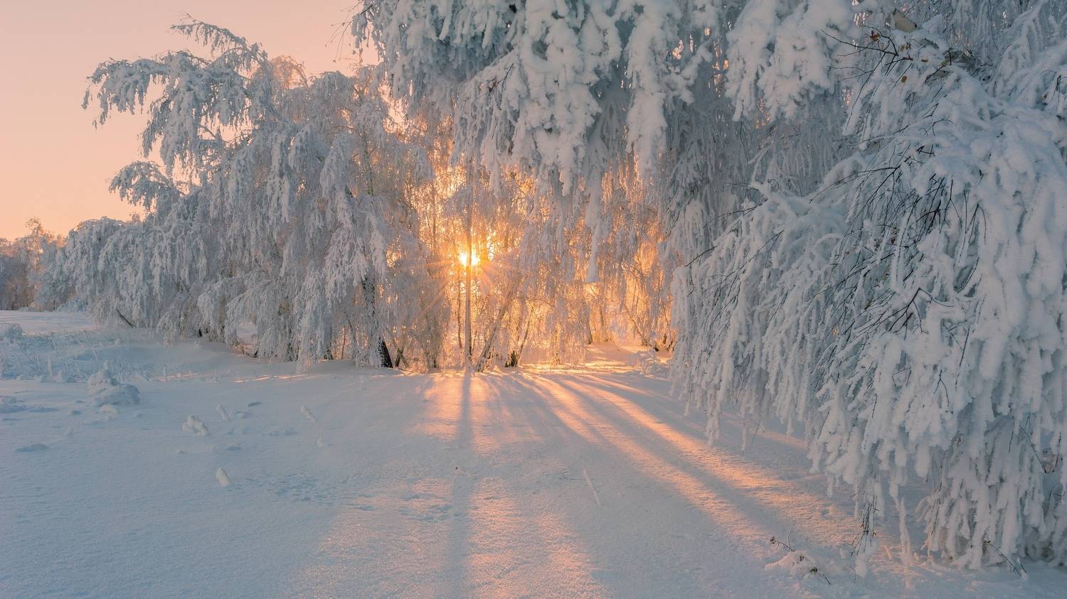 , Шустиков Дмитрий