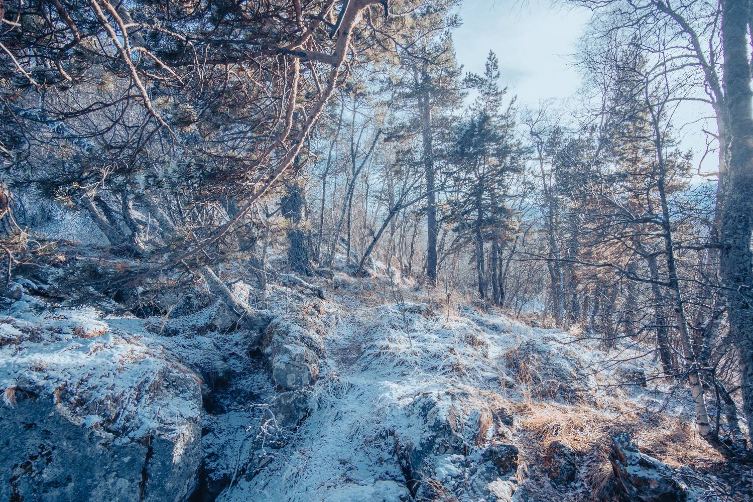 , Вадим Коваленко
