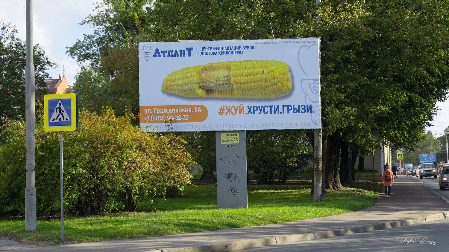 Баннер, Калининград, реклама, стрит, фотография, кукуруза, Россия, Свирин Вадим, день, улица, 2023, Vadim Svirin