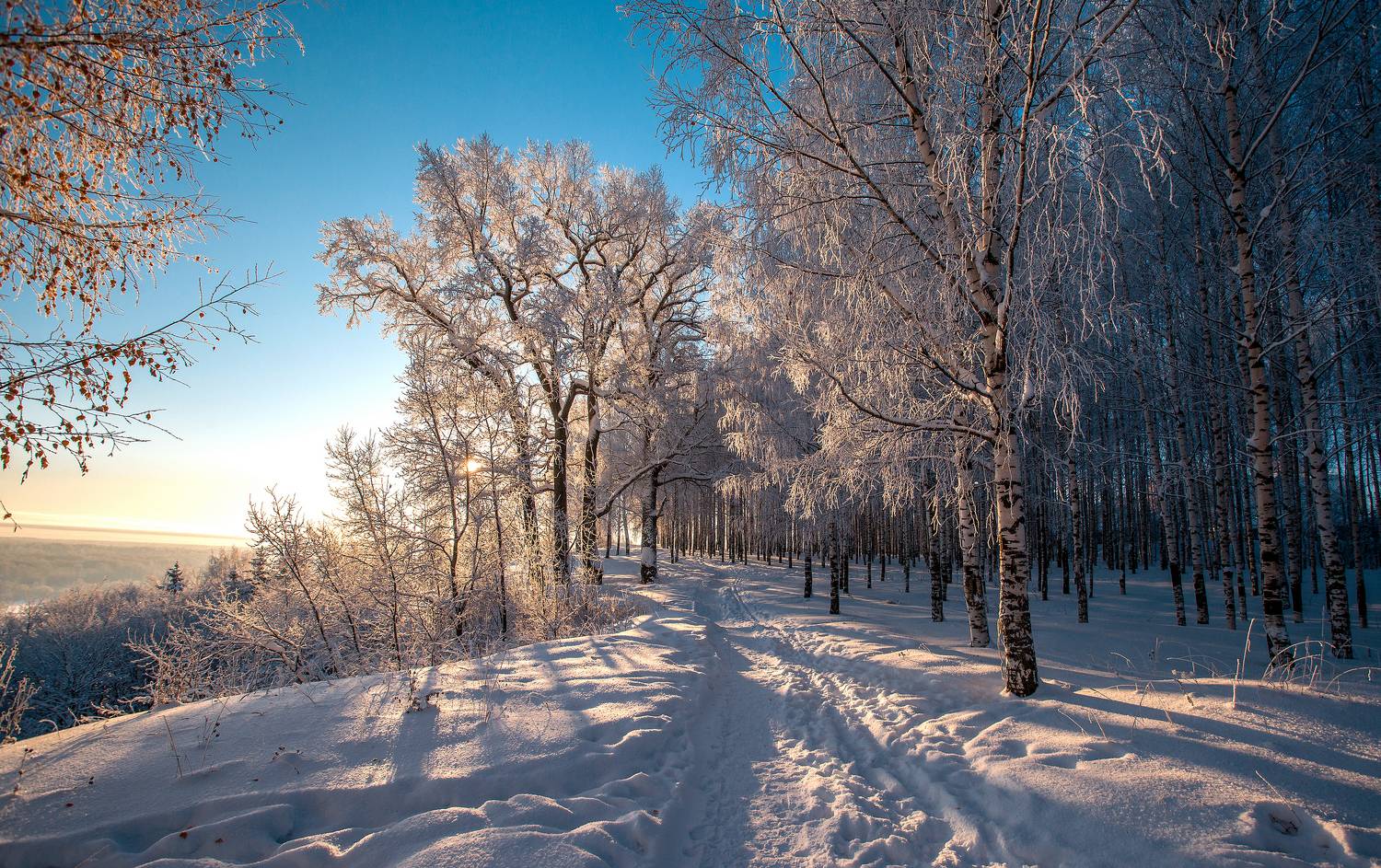 берёзы, зима, мороз, солнце, лучи солнца, Широких Александр