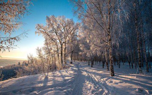 В лучах морозного солнца