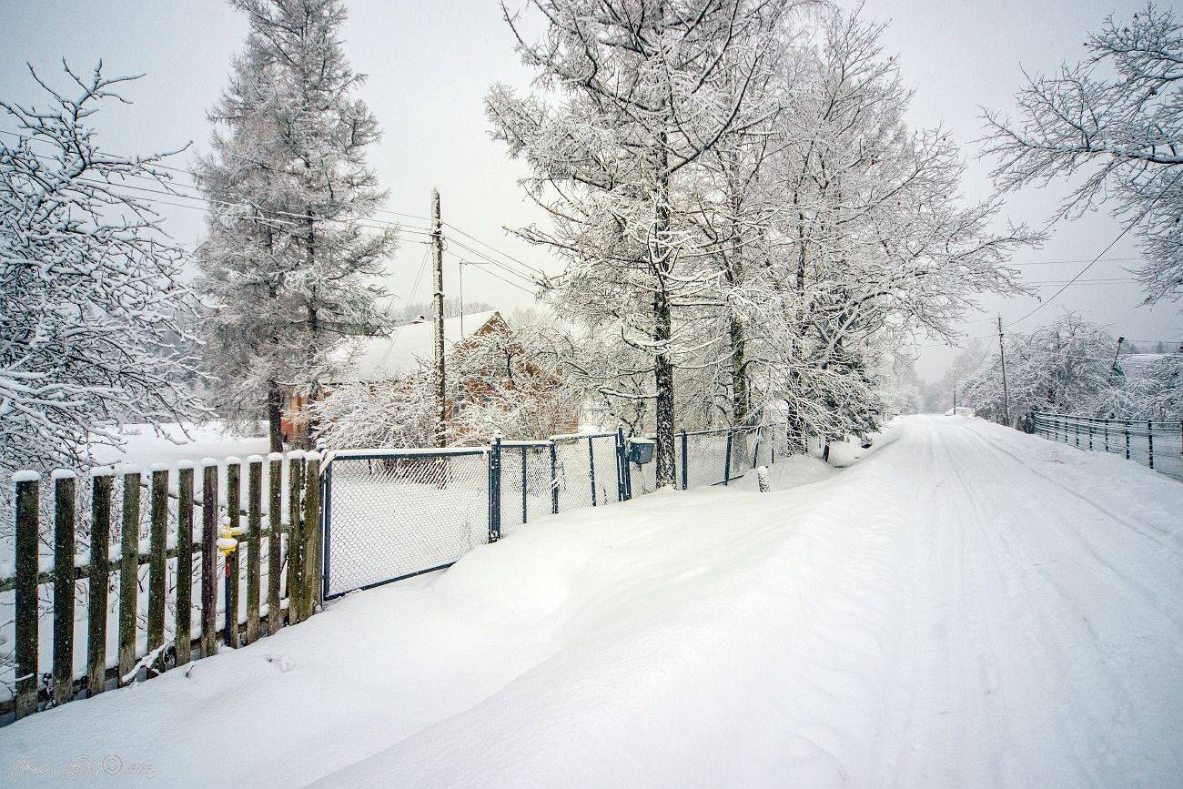 , Орлов Олег