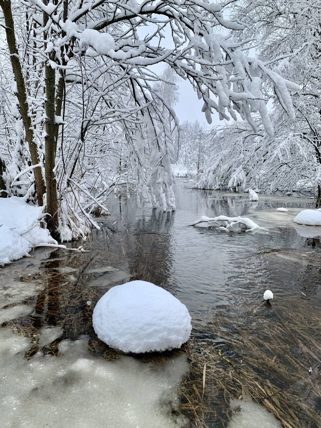 , Аседач Александр