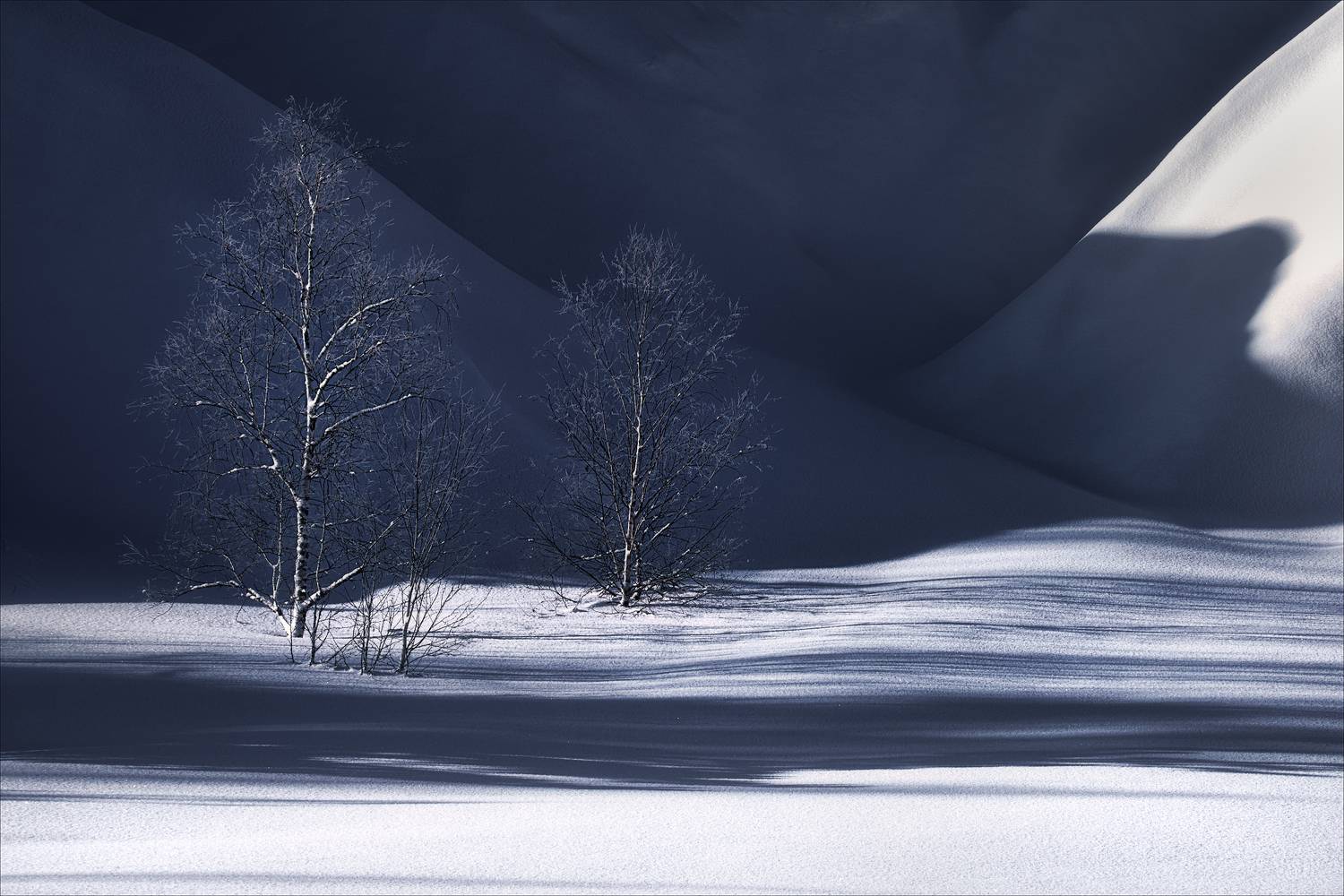 , Богорянов Алексей